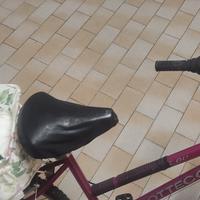 Bicicletta donna 26 con cestino sul retro 