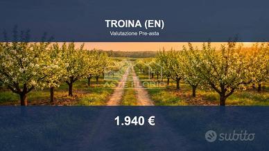 Immobile in asta di 8457 m² a Troina