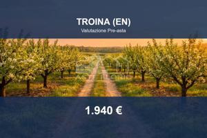 Immobile in asta di 8457 m² a Troina