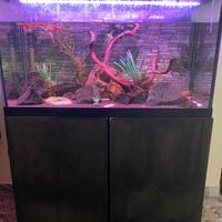 Acquario 150L completo