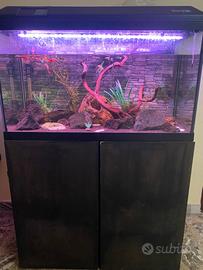 Acquario 150L completo
