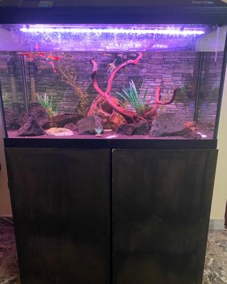 Acquario 150L completo