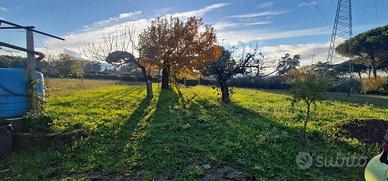 Terreno di 9000 m² a Zagarolo