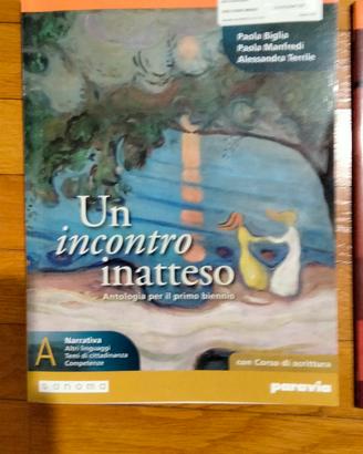 Un incontro inatteso A