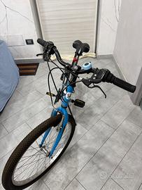 Bici magnum da 24