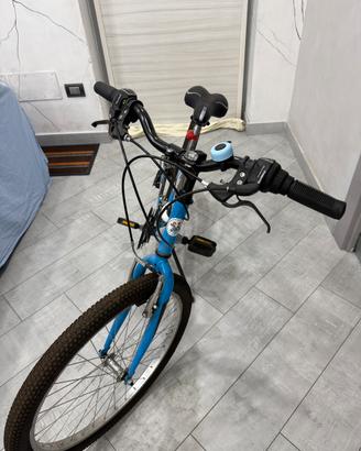 Bici magnum da 24