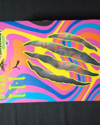 Scarpe basket  lamelo ball mb 03 Dexter laboratory