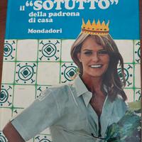 Sotutto della padrona di casa - Tutto sui lavori