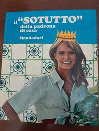 Sotutto della padrona di casa - Tutto sui lavori