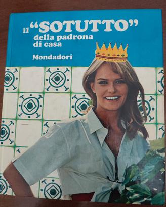 Sotutto della padrona di casa - Tutto sui lavori