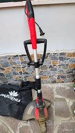 tagliaerba e aspirafoglie