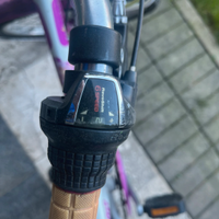 Bicicletta 20 pollici