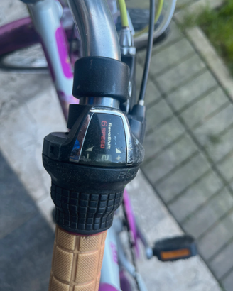 Bicicletta 20 pollici