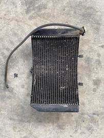 Honda cbr 600 F 2001 radiatore pinza Ammortizzator