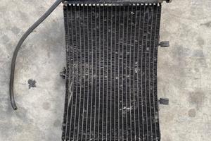 Honda cbr 600 F 2001 radiatore pinza Ammortizzator