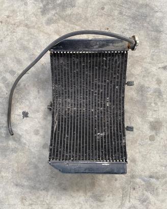 Honda cbr 600 F 2001 radiatore pinza Ammortizzator