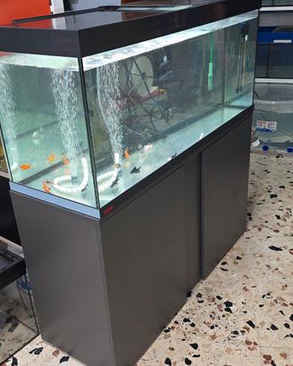 acquario 300 litri