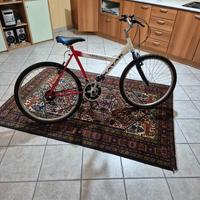 🚲 Bici MTB Kayak Extreme – 75€ (trattabili)
