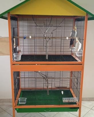 gabbia per pappagalli