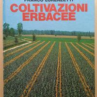 Coltivazioni Erbacee