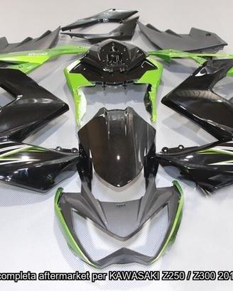 Promo Carena compatibile KAWASAKI Z250 Z300 2015