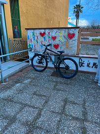 bicicletta 