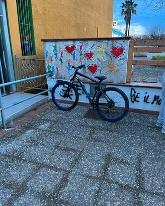 bicicletta 