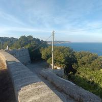 Aiutocuoco /lavapiatti con esperienza