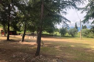 Feste e Barbecue in 1000 mq attrezzati,