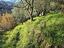 Immagine 16