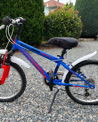 Mountain bike bambino