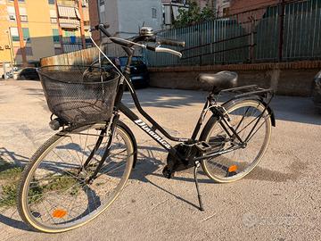 Bici Dinamica con cesto
