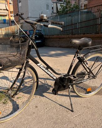 Bici Dinamica con cesto