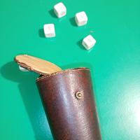 Gioco del poker in dadi con contenitore 
