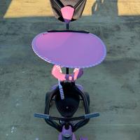 Smart Trike vanilla 4 in 1