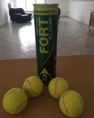 Dunlop - Palline da Tennis professionali