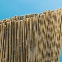 Cannicciato in Bambù Cm. 100x300