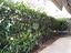 Immagine 25