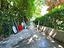Immagine 14