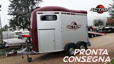 Carrello trailer van cavalli 2 posti Horse box