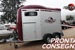 Carrello trailer van cavalli 2 posti Horse box