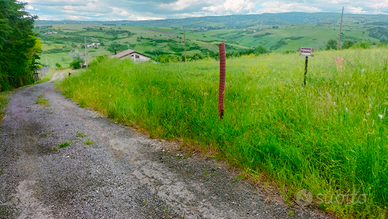 Terreno pianeggiante esposto a mezzogiorno