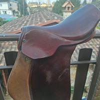  Sella Stubben sigfried 2