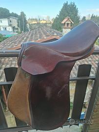  Sella Stubben sigfried 2