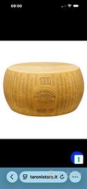 Forme parmigiano finte cone originali
