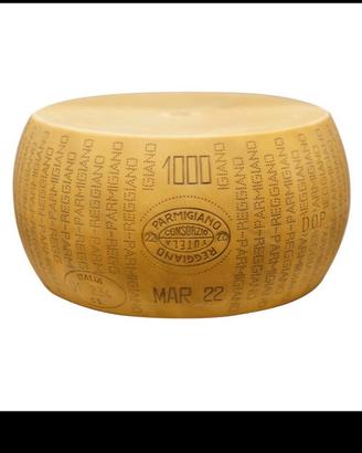 Forme parmigiano finte cone originali