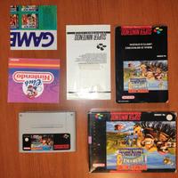 Donkey Kong Country 3 Dixie Kong's Double Trouble