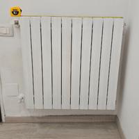 Termosifoni ad acqua calda