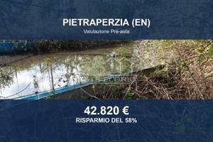 Immobile in asta di 705 m² a Pietraperzia