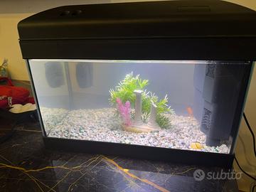 Acquario con motore e filtro